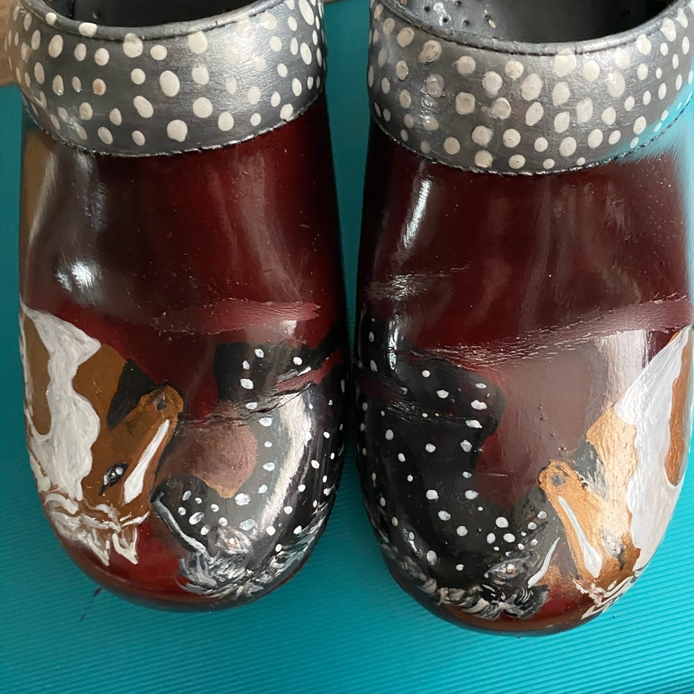 Dansko shoes